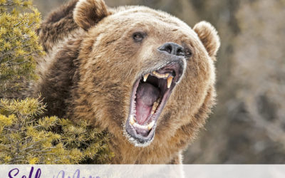 Can you still effectively lead when trauma strikes?